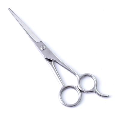 China Premium 6.7 Inch Stainless Steel Beauty Tool Hair Trimming Scissors Beard Grooming Barber Scissors Cutting Scissors for sale