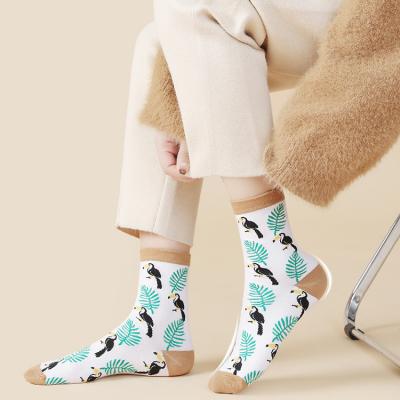 China High Quality Breathable Soild Color Crew Socks Custom Logo Girl Women Sport Socks 100% Cotton for sale