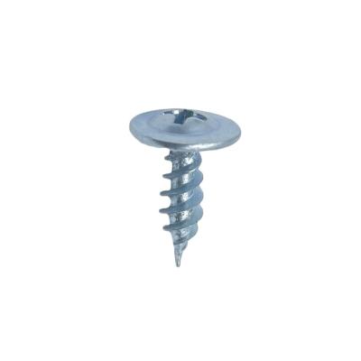 China Truss Manufacturer Price High Quality with Phill Drive Truss Head Self-Tapping Screws for sale