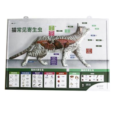 China Global Customized Plastic 3D Animal Advertising Poster PVC Embossed Poster for sale