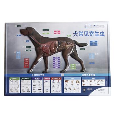 China Customized Factory Price Global Popular Knowing Animal Plastic Blister Embossed 3d Poster Wall Charts for sale