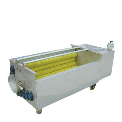 China SS304 Material Potato / Turmeric Washing And Peeling Machine for sale