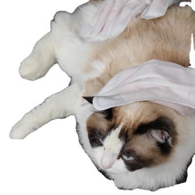 China Cat Cleaning Dry Cleaning Pet Dog Viable Hands Free Bath Deodorizer Disposable Products Wet 8 Pieces for sale