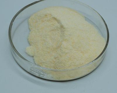 China 99% Activity Xylanase Enzyme Food Additive Water Soluble en venta