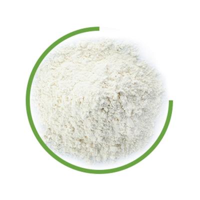 Chine Food Processing Enzyme Food Additives Raw Material  for protein degradation à vendre