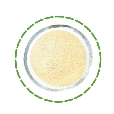 China Agricultural Probiotics Fermentation Bacteria Microbial Inoculants As Biofertilizer for sale