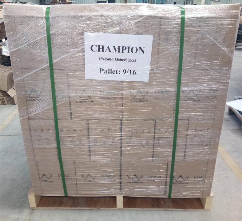 Proveedor verificado de China - Champion Storage Battery Company Limited