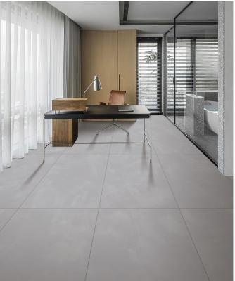 China Light Gray Floor Baby Face Porcelain Tiles For Living Room 24