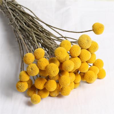 China Fruit Golden Best Selling Wholesale High Quality Golden Fruit Valentine Bouquet For Home Decoration for sale