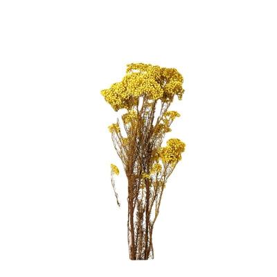 China Millet Flowers Best Selling Wholesale Dried Millet Flower Bouquets Are Mostly Used For Wedding Party Decoration for sale