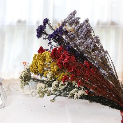 China Millet flower manufacturers sell a large number of high-quality wholesale decorations for bouquets and families to insert the natural millet flowers for sale