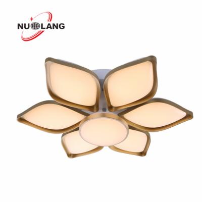 China Modern Unique Art High Quality 2.4g Remote Control Color Changing Ceiling Light Ceiling for sale