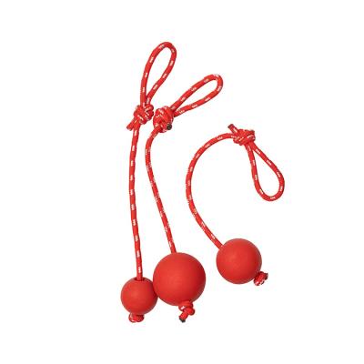 China Viable Toys Puppy Training Pet Customization Product Interactive Bungee Ball With Rope for sale