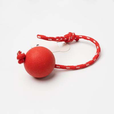 China Viable Hot Models Moderate Size Interactive Red Dog Cat Toy Pet Elastic Movement Ball for sale