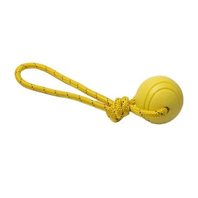 China Cost Effective Interactives Dog Toys Launcher Game Training Elastic Pet Ball for sale