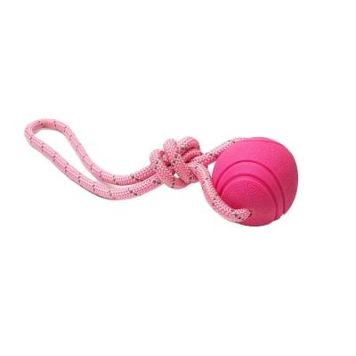 China Wholesale Sustainable Funny Interactive Bite Dog Toy Puzzle I.Q Reasonable Price Pet Elastic Ball With Rope for sale