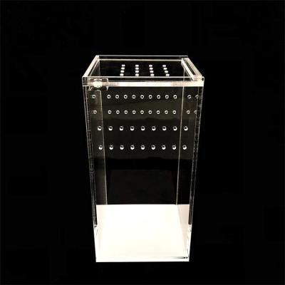 China Breathable Cage Acrylic Reptile Tarantula Feeding Box Small Pet Cages For Sale for sale