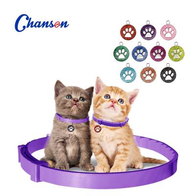 China Hot-selling Viable Pet Supplies Personalized Custom Collar Dog Anti-lost Stainless Steel Pet ID Tag for sale