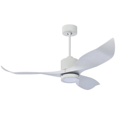 China ABS Store Discount 52 Inch Luxury Brushless DC LED Ceiling Light Fan Low Price With Modern Home Decoration ABS White Blade for sale