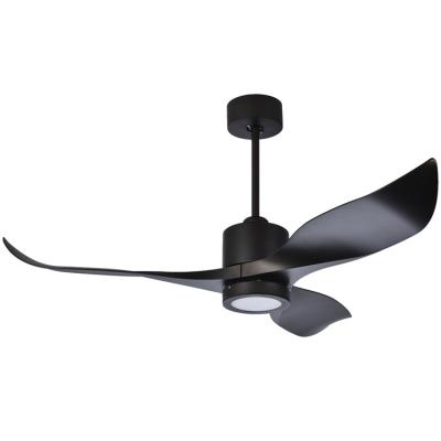 China Promotional Modern Luxury Decorative Black ABS Three Blade BLDC Lighting Ceiling Fan with LED Light and 5 Gears Remote Control for sale