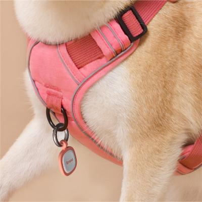 China Custom Double Sided Air Tag Pet Collars Qr Code Pet Tags Engraved Tagged Dog for sale