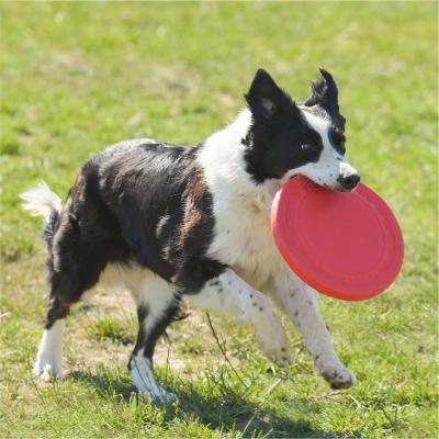 China EVA Materials Flying Disc Lighter Weight Pet Flight Disc Viable Safe Floatable Dog Flight Disc for sale