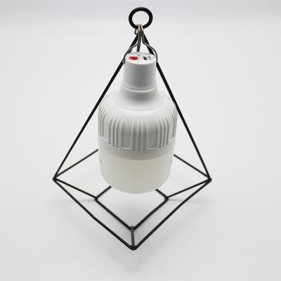 China Camping Bulb Emergency Led Electric Battery Powered Led Bulb Lights Light With Ip65 Battery Cable Bulb for sale