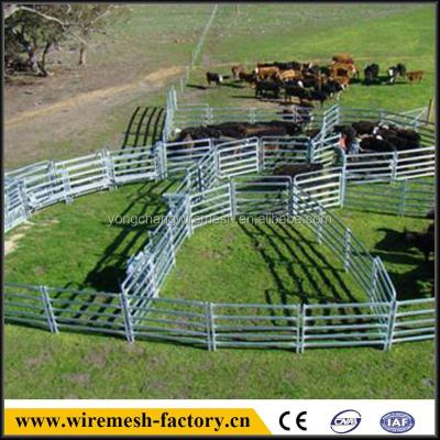 China Residential Galvanized Cattle Yard Fence Panel for sale