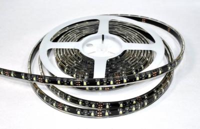 Κίνα Η υψηλή μονάδα λούμεν υπαίθριο IP65 IP67 IP68 SMD3528 οδήγησε τα φω'τα λουρίδων στο θερμό άσπρο/δροσερό λευκό προς πώληση