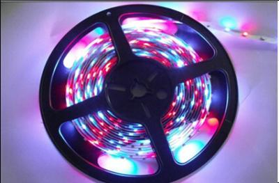 China 14.4W per meter Copper Flexible RGB Led Strip SMD5050 4800LM led lighting strips for sale