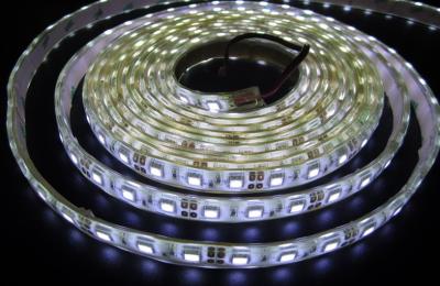 中国 高い明るさ IP68 は暖かい白の低電圧 LED のストリップ 60leds/M を防水します 販売のため