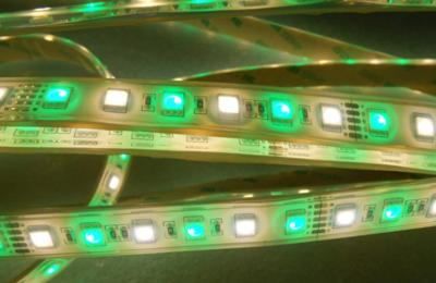 Cina IP68 impermeabilizzano la striscia di RGBW SMD 5050 LED in vendita