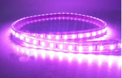 China RGB/weißes/geführtes des Streifen-SMD 5050 des Streifens 50000hrs Gelb PWBs 5m Rollenip68 Licht zu verkaufen