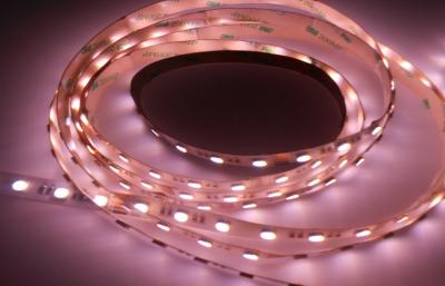 Cina Strisce della striscia RGBX LED di SMD 5050 LED con quattro chip in uno SMD LED in vendita