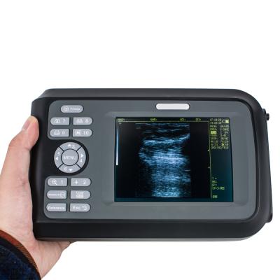 China High Quality Ultrasound Scanner Plastic Handheld Ultrasound And Veterinary Ultrasounf Equipment for sale