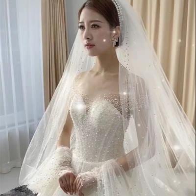 China Lace Edge Bridal Veils Hot Sale Long Bridal Veil Wedding Accessories Beaded Tail Handmade Bridal Veils Hot Sale for sale