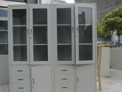 China Lab Document Storage Cabinet All Steel File Ciupboard for Laboratory School Office Institute Use for sale