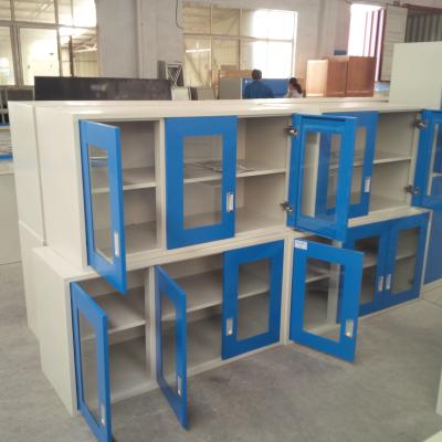 China Laboratory Hanging Cabinet with CE All Steel Wall Mounted Storage Cabinet for Lab School Office Home Use for sale