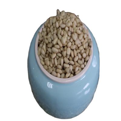 China High quality good food use human consumption pine nuts price from china factory for sale