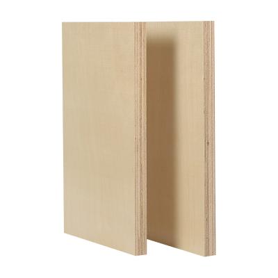 China 1220*2440Mm Birch Modern High Quality UV 4Mm-30Mm Plywood For Cabinets for sale