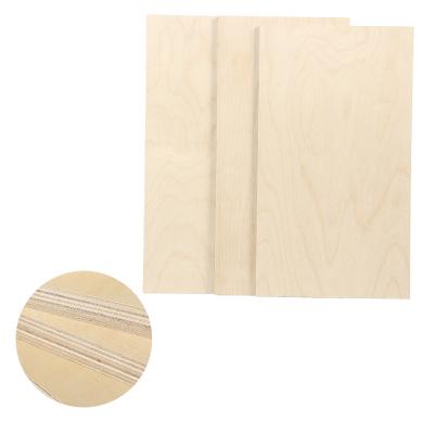 China Modern UV Birch Plywood 4Mm-30Mm Thick Sheet Furniture 1220*2440Mm for sale