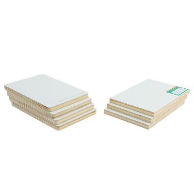 China Modern Fireproof Hpl Laminate Board Commercial Fireproof Plywood For Cabinet for sale