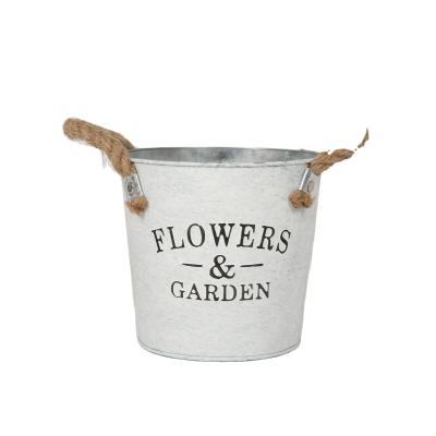 China Nordic Wholesale Eco-friendly Creative Metal INS Flower Pot For Home Office Office for sale