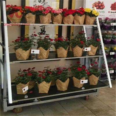 China Display Flower Trolley.Danish Mesh Trolley.Garden Tool Cart, Steel Roll Trolley Tool cart,Greenhouse for sale