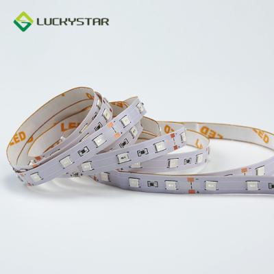 China Residential Low Price SMD 4040 5 Meters Per 8mm Roll PCB 60LEDs Per Meter IP20 IP65 White LED Strip Light for sale