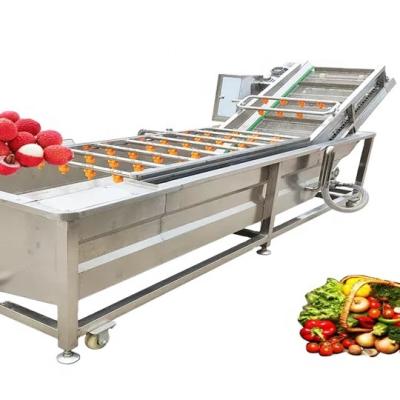 China Industrial flour mill vegetable and fruit washing machine for sale for sale