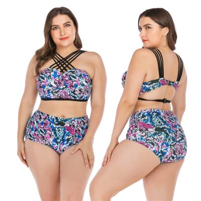 China Breathable Swimsuit Bikini Plus Size Swimwear Bikinis Woman Swimwear 6642 for sale