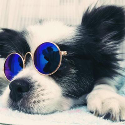 China Viable Hot Sale Dog Pet Glasses For Pet Products Eye-wear Sunglasses Photos Props Accessories Pet Cat Glasses Supplies for sale