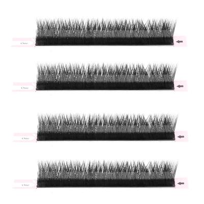 China Use for transplant eyelash sell well new type private label provides easy fanning eyelash extensions for sale