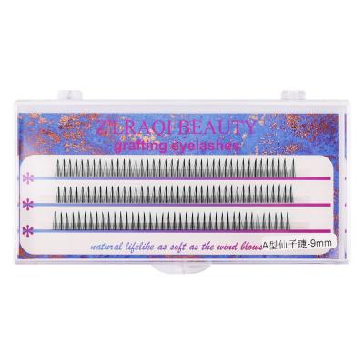 China Use for Graft Eyelash 12 14 16 18 20 Rows Premade Fans Large Tray Sharp Stem Point Base Eyelashes 10d 12d 16d for sale